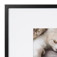 View all media