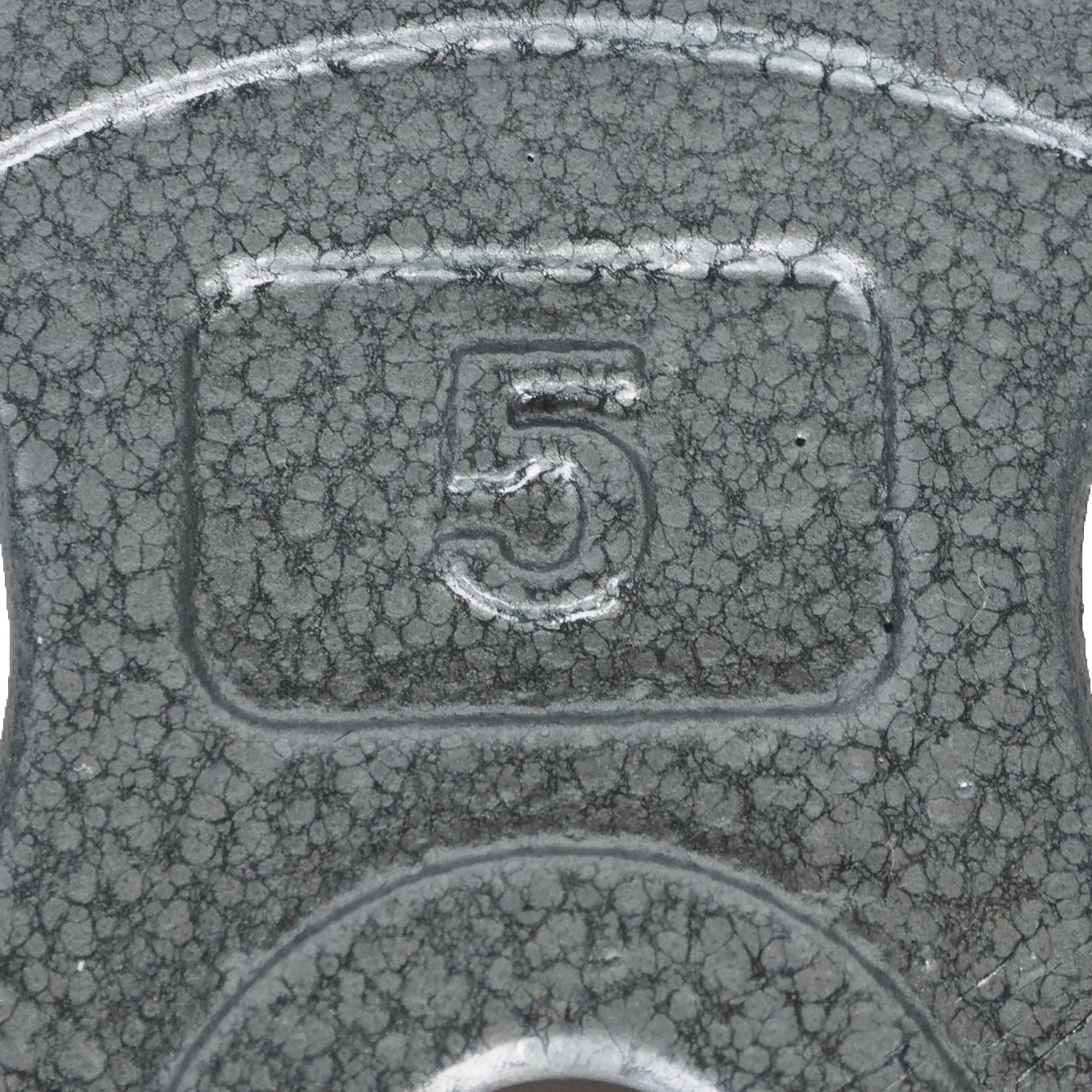 GoZone Grip Weight Plate – Silver