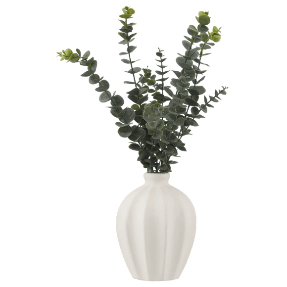 Bouclair Eucalyptus dans un vase en céramique
