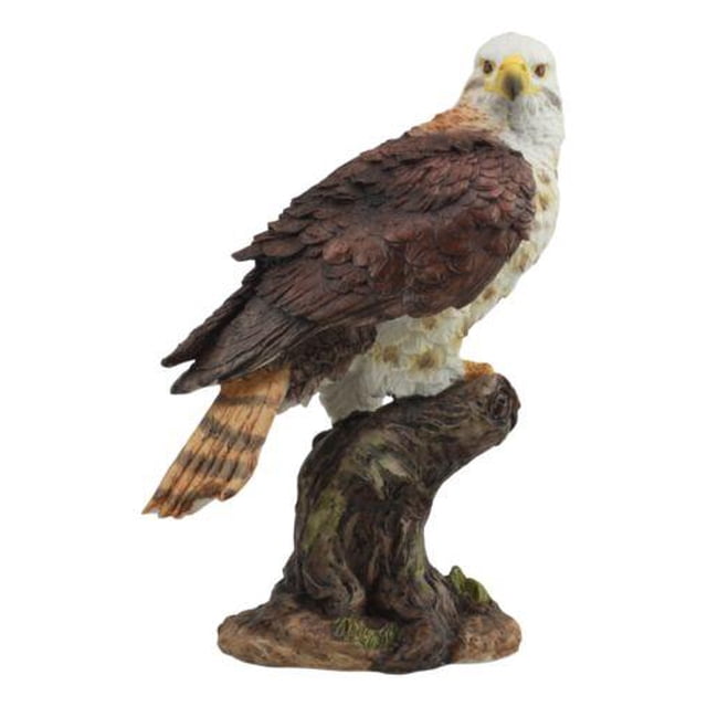 Ebros Faune Faucon à Queue Rouge sur Souche d'Arbre Statue Oiseaux de Proie Figurine 10"H