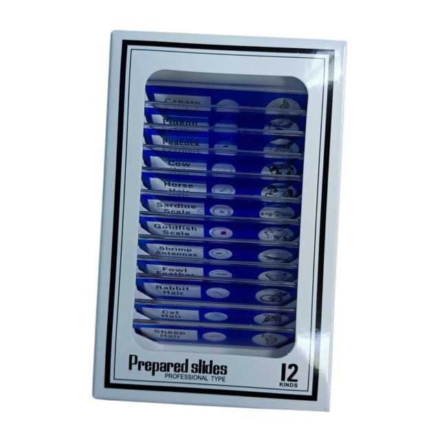 lionlar 12 Pieces Prepared Microscope Slides Educational for Children Home Classroom blue