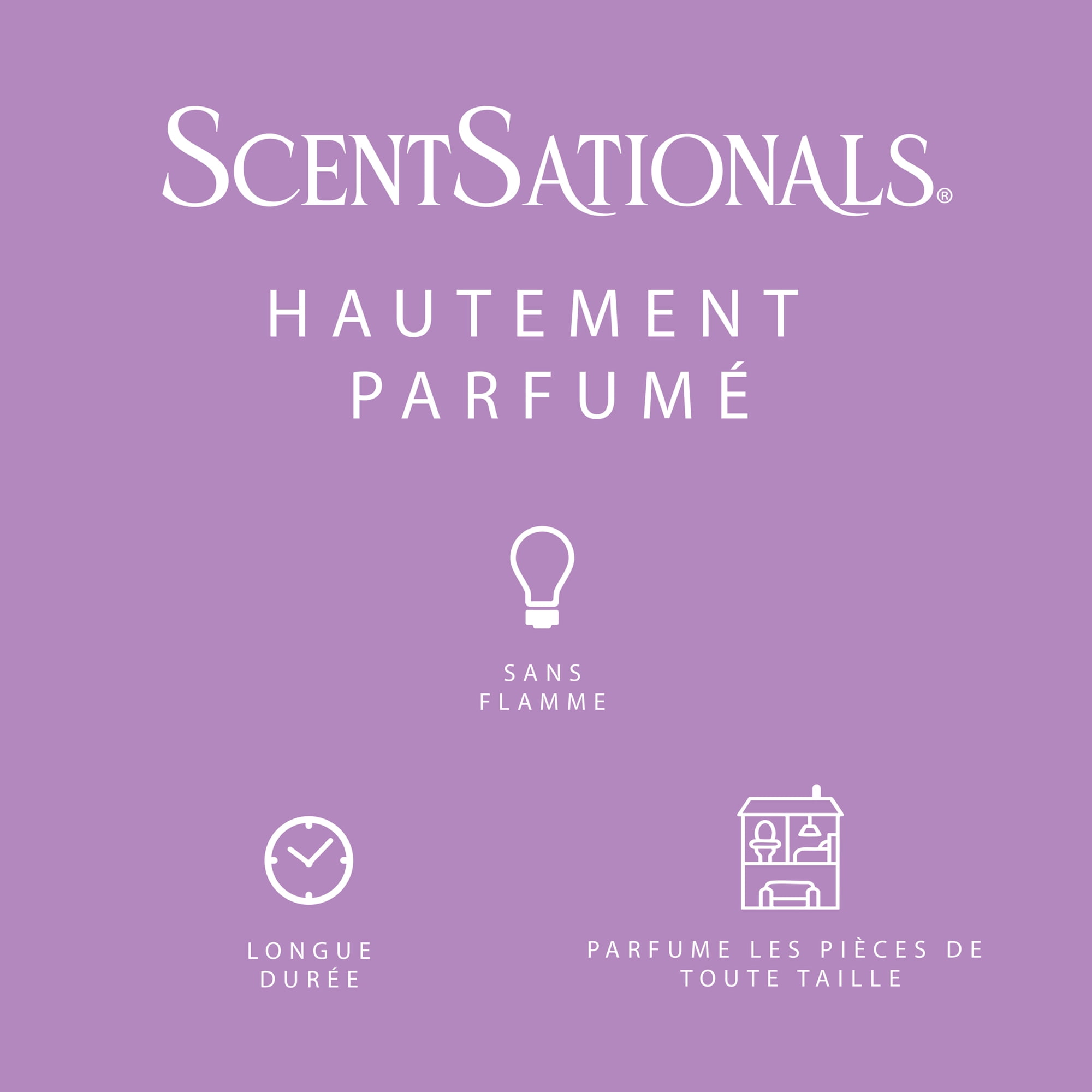 Cubes de cire parfumée ScentSationals - Lilac Blossoms