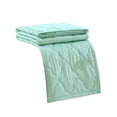 thumbnail image 1 of Matoen12 Solid Color Flannel Blankets for All Season, Polyester Soft Throw Blanket Lightweight Air Conditioning Quilt for Nap Sleep, Modern Style Home Decor Ideal for Gift, 60"x79", 1PC, Mint Green, 1 of 7