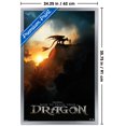 thumbnail image 3 of Dragons (2025) - Fiche d'information, 3 of 3