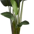 thumbnail image 3 of Nearly Natural 5583 Travelers Palm Artificial Tree, 3 of 4