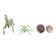 thumbnail image 2 of Insects Toy, Growth Cycle Insects Toy, Environmental Non-Toxic Safe Harmless Odorless Poatable for Education Playing Children Teaching Activities, 2 of 7