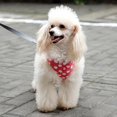 thumbnail image 5 of Adjustable Nylon Dog Harness Breathable Dog Harness For Small Medium Large Dog Rope Walking, 5 of 5