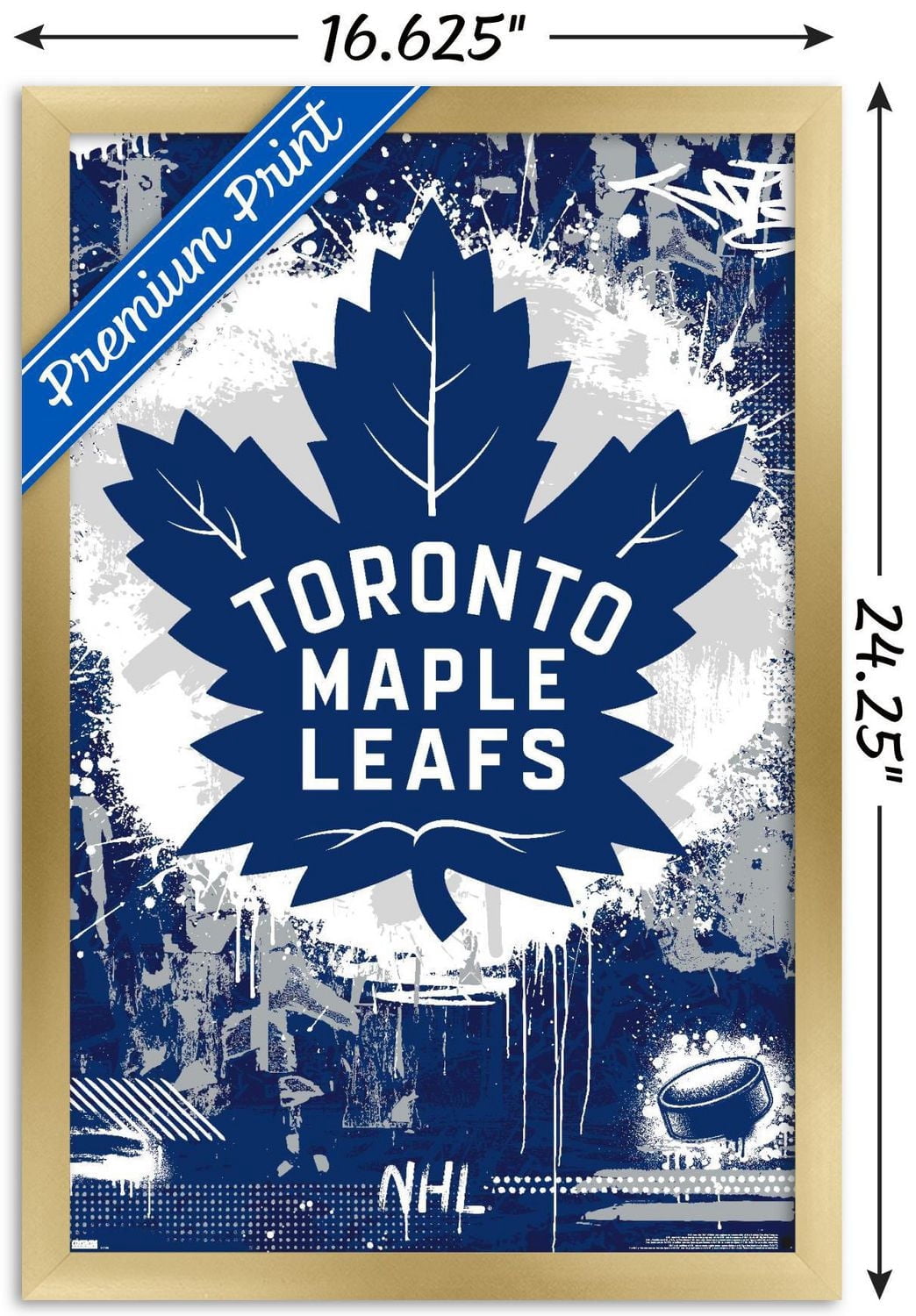 Maple Leafs de Toronto la LNH