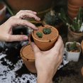 thumbnail image 4 of 4 Pieces Coir Plant Mat, Plant Protection Disc, Coconut Mat Mulch Disc Pot Plant Protection Mat for Home Hotel Garden (30cm), 4 of 5