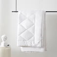 thumbnail image 1 of Royal Elite All-Season Natural Bamboo Duvet, 1 of 3