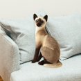 thumbnail image 1 of Lovely Cat Plush Toys Stuffed Animal Plush Padding Doll Simulation Siamese Cats StyleD, 1 of 9