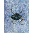 thumbnail image 1 of Carolines Treasures 8151CHF 28 x 40 In. Crab Flag Canvas- House Size, 1 of 4