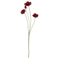 thumbnail image 1 of Bouclair Red Plum Poppy Stem, 1 of 3