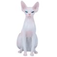 thumbnail image 2 of Gupbes Modèle de Chat, Modèle de Chat Sans Poils, Cadeau Exquis pour Enfants et Enseignants Collectionneurs, 2 of 8