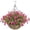 E, variante sur Décoration de Panier à Fleurs, Fleurs Suspendues Artificielles avec Panier Printemps Décoration Extérieure Extérieure Faux Soie Coloré dans Jardinière Aspect Réel Maison Porche Patio Balcon Cour Déco