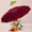Rouge, variante sur Dvkptbk Parapluie de Voyage Compact Coupe-Vent pour la Pluie, Léger, Portable, Automatique, Robuste, Parapluies Pliants Imperméables pour Femmes, Hommes et Adolescents, Essentiels de Voyage