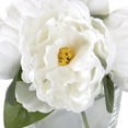 thumbnail image 2 of DesignOvation 7"H Tabletop Artificial Peonies in Glass Vase, 2 of 8