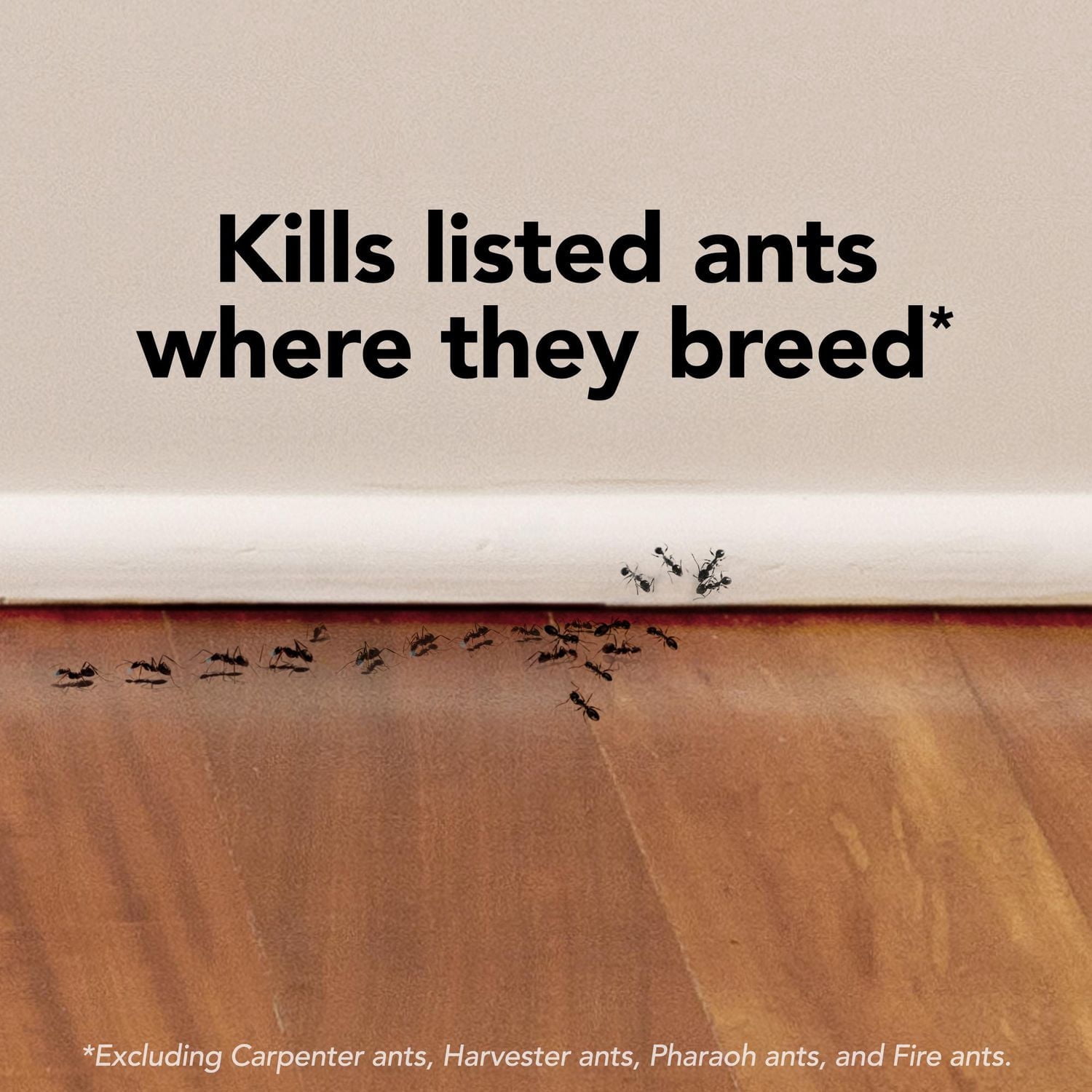 Raid Ant Killer Baits and Trap, Kills the Queen and Colony, Child Resistant, 4 Count