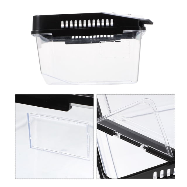 OULII Transporteur Rectangulaire en Plastique pour Terrariums de Reptiles 1 Pcs