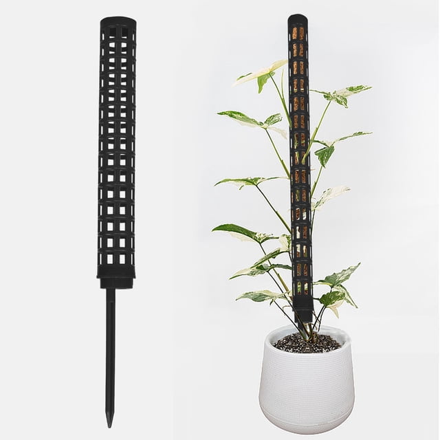 Chmadoxn Seedling Tray Moss Column Green Ivy Stick Water Moss Column Climbing Tool Plastic Moss Climbing bracket