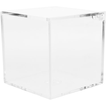 Shisuyan Vitrine pour Poupées Boîte de Rangement en Acrylique Support pour Poupées Support de Trombones de Bureau Boîte d'Exposition Transparente