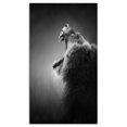 thumbnail image 2 of Design Art - Lion Displaying Teeth, 2 of 4