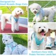 thumbnail image 2 of Enkarl Soft Small Dog Harness and Leash Set Step in Air Mesh Puppy Harness Leash Easy Walk Dog Harness Vest Adjustable Reflective No Pull Dog Harnesses for Small Dogs Cats (Blue Grey, L), 2 of 8