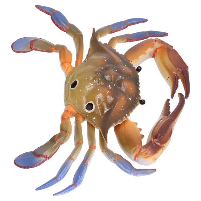 Modèle Crabe Animal Marin Figurine Modèle Océan Jouet Modèle Éducatif Jouets d'Animaux pour Enfants