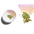 thumbnail image 1 of Blinggasm Waterslide Decal Paper 10 Sheets Pack, Clear or White, Inkjet or Laser Printer Choose From Menu (WHITE FOR LASER PRINTER), 1 of 3