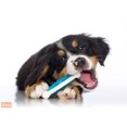 thumbnail image 2 of Jouet pour chien Hartz Chew 'n Clean Tuff Bone petit, 2 of 7