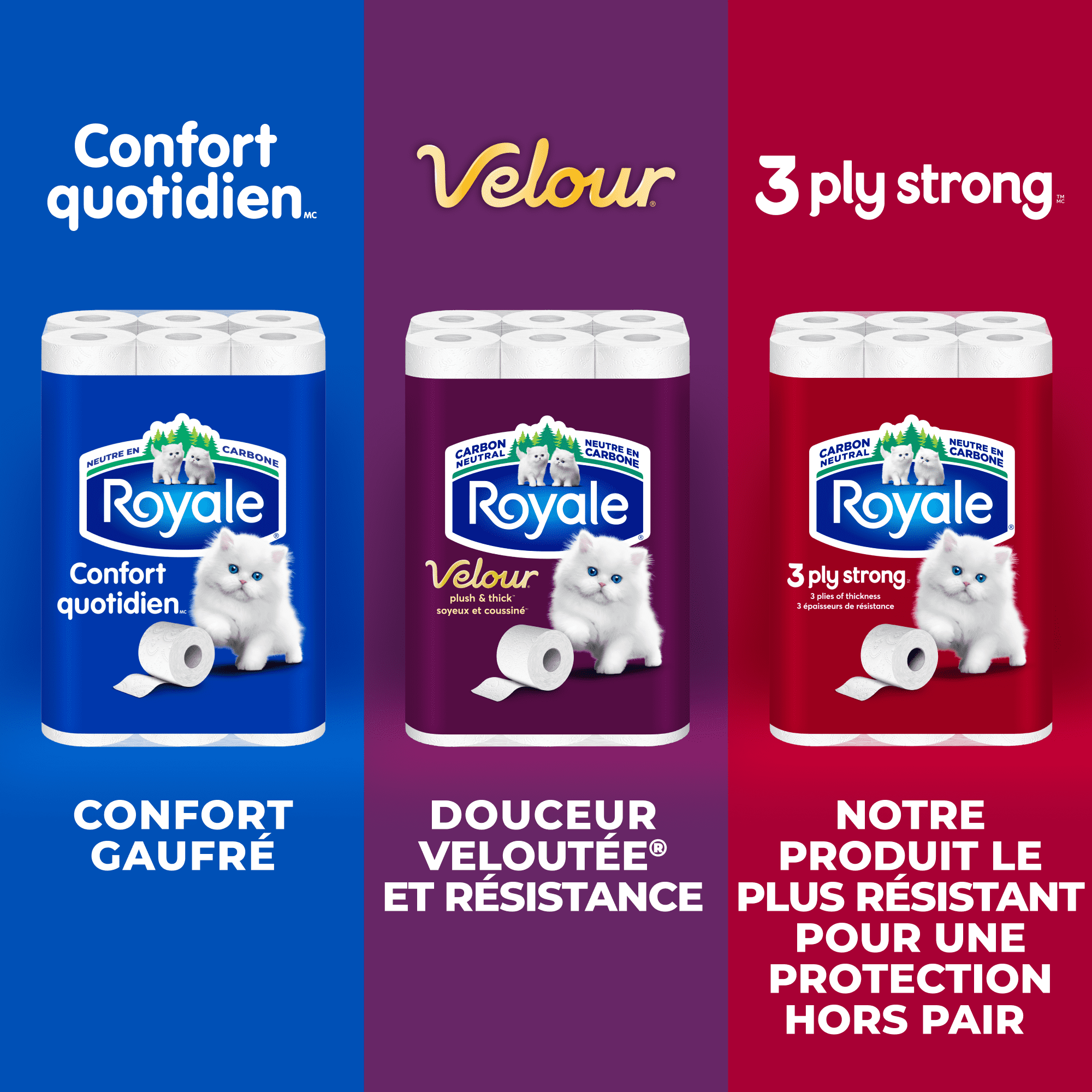 Royale Papier Hygiénique Velour, 24 équivalant à 48 rouleaux
