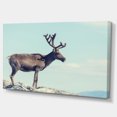 thumbnail image 2 of Grand Renne en Norvège - Impression d'Art Abstrait sur Toile, 2 of 3