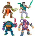 thumbnail image 1 of Teenage Mutant Ninja Turtles Classic Mutants, 1 of 5
