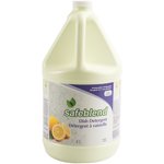 Safeblend VCLEG04 Détergent de vaisselle 4L - 1 Chaque