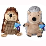Vibrant Life Large Hedgehog Assortment Dog Toys - Dog Comfort Toy