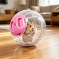 thumbnail image 4 of FEISHENTT Guinea Pig Hamster Toy Ball Exercise Ball for Hamsters 12cm, 4 of 5