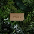 thumbnail image 4 of Ivory Gentle Exfoliating Bar Soap, Notes of Warm Vanilla + Oat Milk, 8 Bars, 4 of 14