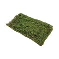 thumbnail image 3 of Milaget Grass Tufts Model DIY Simulation Grass Cluster DIY Scenery Landscape Railway S S, 3 of 9