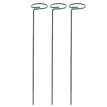 Garoy Lot de 3 Piquets de Support pour Plantes de 9,84 Pouces, Bâton de Support pour Fleurs à Tige Simple en Métal, Anneau de Cage de Support pour Amaryllis, Orchidée, Pivoine, Rose, Tomate, Piquets de Jardin pour Plantes, Piquets pour Fleurs