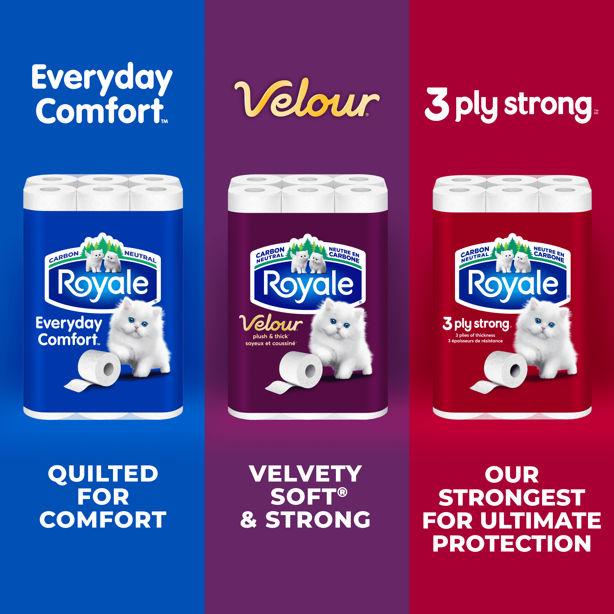 Royale Papier Hygiénique Velour, 24 équivalant à 48 rouleaux