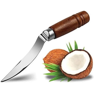Outil de Noix de Coco, Extracteur de Viande de Noix de Coco, Manche en Bois Durable, Ouvre-Noix de Coco en Acier Inoxydable, Couteau Grattoir pour Cuisine Maison