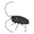 thumbnail image 3 of Solar Powered  Toys, Kidding Simulation Cockroaches Model  For Party For, 3 of 8