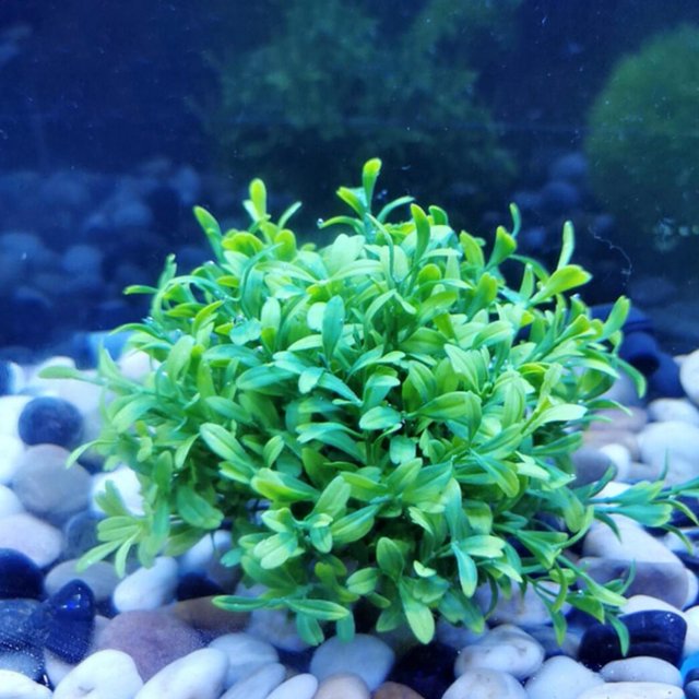 Artificial Water Plant, Fish Artificial Water Plant, Decor 1PCS Plastic Landscape Decoration For Fish