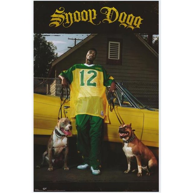 Pop Culture Graphics MOVGH1735 Snoop Dogg Affiche de Film, Impression, 27 x 40