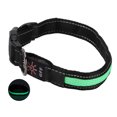 thumbnail image 3 of Dog LED Collar, Steady Mode Metal Clip Dog Luminous Collar Bite Resistant With USB Cable For Outdoor For Cats For Dogs Red,Green,Blue, 3 of 8