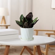 Cagogo Flower Pot with Saucer, Scandinavian Style Resin Plant Pots for Indoor Plants Outdoor Plants, Thickened Durable Plastic Imitation Ceramic Garden Pots, Large Gallon Size Flower Pots for Home