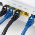 thumbnail image 5 of PrimeCables® Câbles Réseaux 10 Pieds Cat 7 (S/STP), Noir, 5 of 5