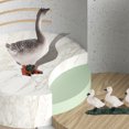 thumbnail image 4 of 4 Piece Insect Figure Animal Life Cycle Plastic Brood To Mature Period, 4 of 6