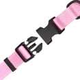thumbnail image 4 of One Paw, Collier à sangle pour chiens, plusieurs couleurs et tailles disponibles, 4 of 5