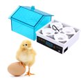thumbnail image 3 of Dvkptbk Plastic Incubator Incubate for Hatching Eggs 4 Eggs Incubate with Automatic Temoperature&Humidity Control Incubate for Chickens Ducks Quail Birds Home Essentials, 3 of 7